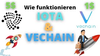 IOTA amp VECHAIN erklärt  Nutzen Anwendungen Vor  und Nachteile  Chart Analyse amp Preis Prognose [upl. by Ahsonek]