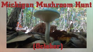 Michigan Mushroom Hunt  October [upl. by Onurb]