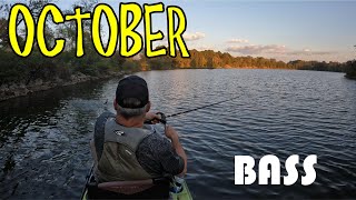 Best Baits For Fall Bass Fishing October Favorites [upl. by Halyk651]