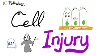 Introduction to Pathology  Cell Injury  A New Pathology Series [upl. by Druci95]