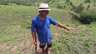 PLANTANDO CAPIM NO SÍTIO SALGADINHO E MOSTRANDO O GADO [upl. by Weirick]