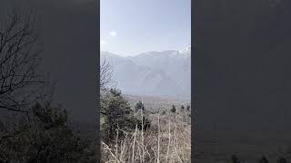 Dachigam National Park srinagar mountains park Dachigambirds sound [upl. by Younglove]