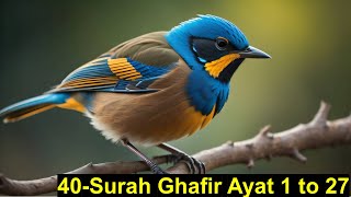 Beautiful tilawat of surah Ghafir surah 40 ghafir Ayat 1 to 27  by Sayed Saleem [upl. by Ayn]