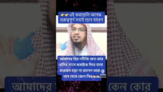 gazal gozol gojol bangla gazal Islamic gazal bangla gojol gojol bangla bangla Islamic gojol [upl. by Bessy]