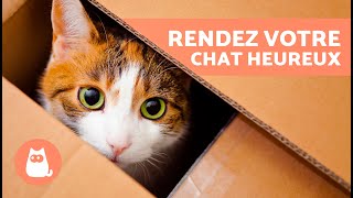 ENRICHISSEMENT ENVIRONNEMENTAL pour CHATS 🏠🐈 A DÉCOUVRIR [upl. by Ahsihat]