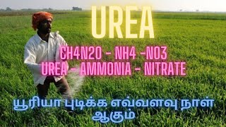 UREA FERTILIZER USE FOR PLANT NITRIFICATION HYDROLYSIS EXPLAINED NANO UREA [upl. by Olegnaed269]