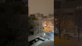 【雪が降る、札幌市】ひらくちゃんねる雪景色雪レポート冬札幌市北海道ありがとう 11月23日 [upl. by Dorcas]