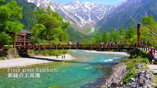 Kamikochi in fresh green is breathtakingly beautiful Here are some standard courses [upl. by Onirefez]