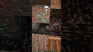 Minecraft Moment 💀 [upl. by Hairakcaz]