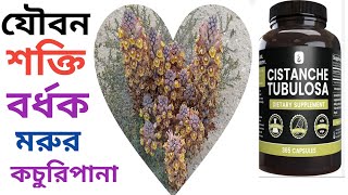 মরুভূমির কচুরিপানার পরিচয় ও উপকারিতা How To Grow Cistanche Tubulosa cistanche [upl. by Acisseg]