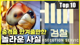 우리가 대부분 모르는 충격을 줄 수 있는 의외의 사실 Top 10 [upl. by Wolcott391]