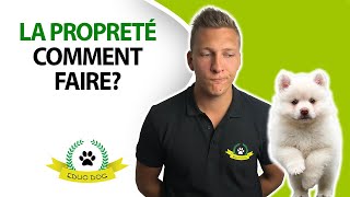 3 méthodes FACILES pour apprendre la propreté à un chiot ou un chien [upl. by Nueormahc]