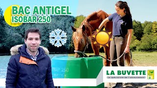 Abreuvoir antigel pour chevaux ISOBAR 250 [upl. by Narda533]