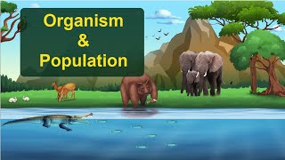 Organisms and Populations  NCERT Chapter Explained Class 12 Biology [upl. by Brucie375]