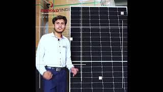 Yingli TopCon Bifacial 550W Panel  Royal Solar Energy [upl. by Arvind]