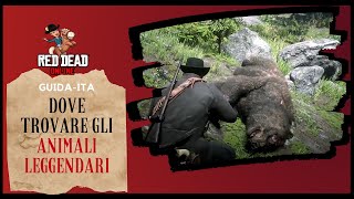 Red Dead Redemption 2 Dove trovare gli animali leggendari ITA [upl. by Hoebart887]