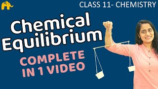 Equilibrium Chemistry Class 11  Chapter 7 Chemical Equilibrium One Shot  CBSE NEET JEE [upl. by Chari49]