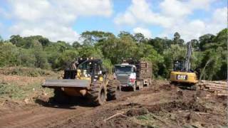 Máquinas Florestais Caterpillar CAT 525C Skidder [upl. by Rillings649]