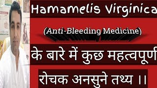 Hamamelis Virginica Q  Anti Bleeding Homoeopathic Best Medicine Explain in Hindi [upl. by Shawn]