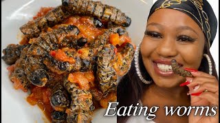 How to cook WORMS  Mopane worms Phane Recipe 2021 mopaneworms [upl. by Gehman763]