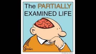 Partially Examined Life podcast  MacIntyre on Moral Theory [upl. by Nycila]