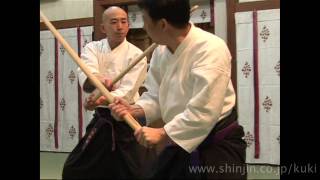 2010 Swiss Denshukai of Kukishinden Tenshin Hyoho [upl. by Yelhak]