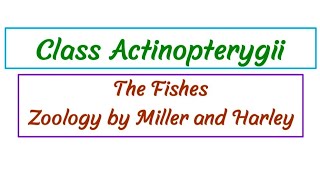 Class Actinopterygii Zoology by Miller and Harley [upl. by Ynohta]