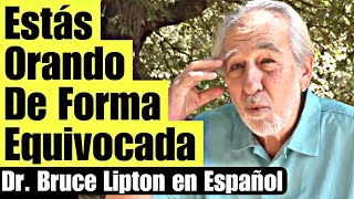 Así Funciona La Oración Científica  Bruce Lipton en español 2023 [upl. by Eladnwahs]