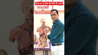 Bile Juice amp Gallbladder Stone  पित्त रस एवं पित्त की थैली की पथरी viral shorts [upl. by Akeemaj312]