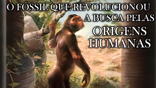 O Legado de LUCY Australopithecus Afarensis [upl. by Niatsirt329]