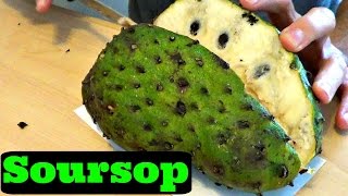 Soursop Review  Weird Fruit Explorer in Malaysia  Ep 94 [upl. by Airlie421]