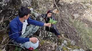 The joy of a simple nomadic life a day of sightseeing in the mountains of Iran with the BID family [upl. by Siblee]