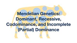 Mendelian Genetics Dominant Recessive Codominance and Incomplete Dominance Explained [upl. by Shell]