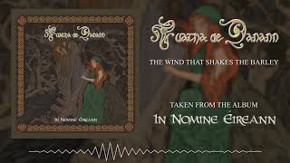 Tuatha de Danann The Wind That Shakes The Barley Visualizer [upl. by Helen139]