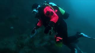 Isles of Scilly England 2022 Scuba diving bsac scubadiving underthesea sea diving [upl. by Nailil304]