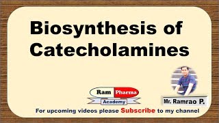 Biosynthesis of Catecholamines Synthesis of Dopamine Noradrenaline amp Adrenaline Pharmacology [upl. by Eldnik]