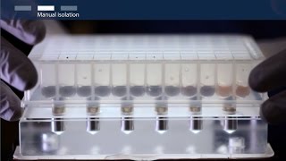 How to isolate total RNA using magnetic bead–based technology [upl. by Kissee]