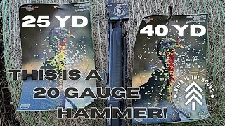 BLENDED 20 Gauge Turkey Load  Pattern Review  Salt Creek Ammo 910 TSS Stoeger M3020 [upl. by Rissa713]