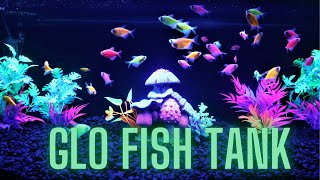 Glo Fish Aquarium  Tank Makeover Build for the Store [upl. by Kcyred]