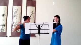 Sleepsong by Secret Garden  Flute Duet [upl. by Clarance]