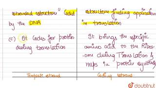 Differentiate between the followings a Repetitive DNA and Satellite DNA b mRNA and tRNA [upl. by Figone294]