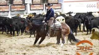 2015 Lucas Oil NCHA Super Stakes Open Classic Finals Highlights [upl. by Nalim]