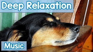 15 Hours of Deep Relaxation Music for Dogs Music to Relax Your Dog Completely and Help with Sleep [upl. by Standing404]