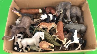 Lot of Zoo Wild AnimalsReal Safari Videos And Schleich ToysLearn Colors For Children [upl. by Lilah]