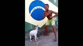 Perro que baila al sonido de perro llorando V [upl. by Akeret]