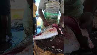 The REAL Reason Trevally Fish are Cut Like This Fast Fish Cutting shorts [upl. by Essirahs885]