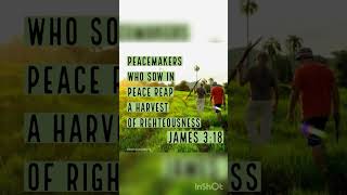 Peacemakers Who Sow In Peace 🙏🏻❤️ bible god jesus gospel [upl. by Akerehs569]