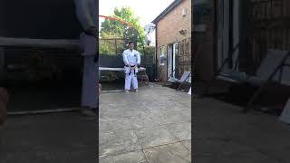 Suparinpei  Razvan Tocu  Elite Karate London [upl. by Euqinu]