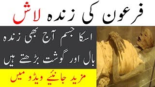 Firon Ki Lash  Firon Dead Body  Maulana Tariq Jameel bayan [upl. by Jasmine]