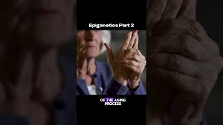 Epigenetics part 2 epigenetics epigenome genetics reverseaging longevity [upl. by Spiers]